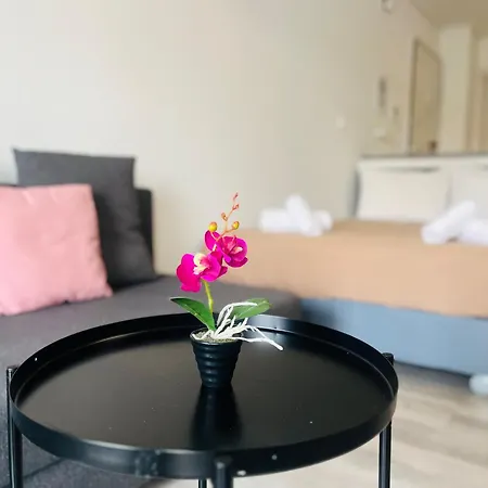 Elvita 4 Apartment